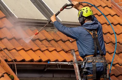 Démoussage et hydrofuge de toiture à Plumont
